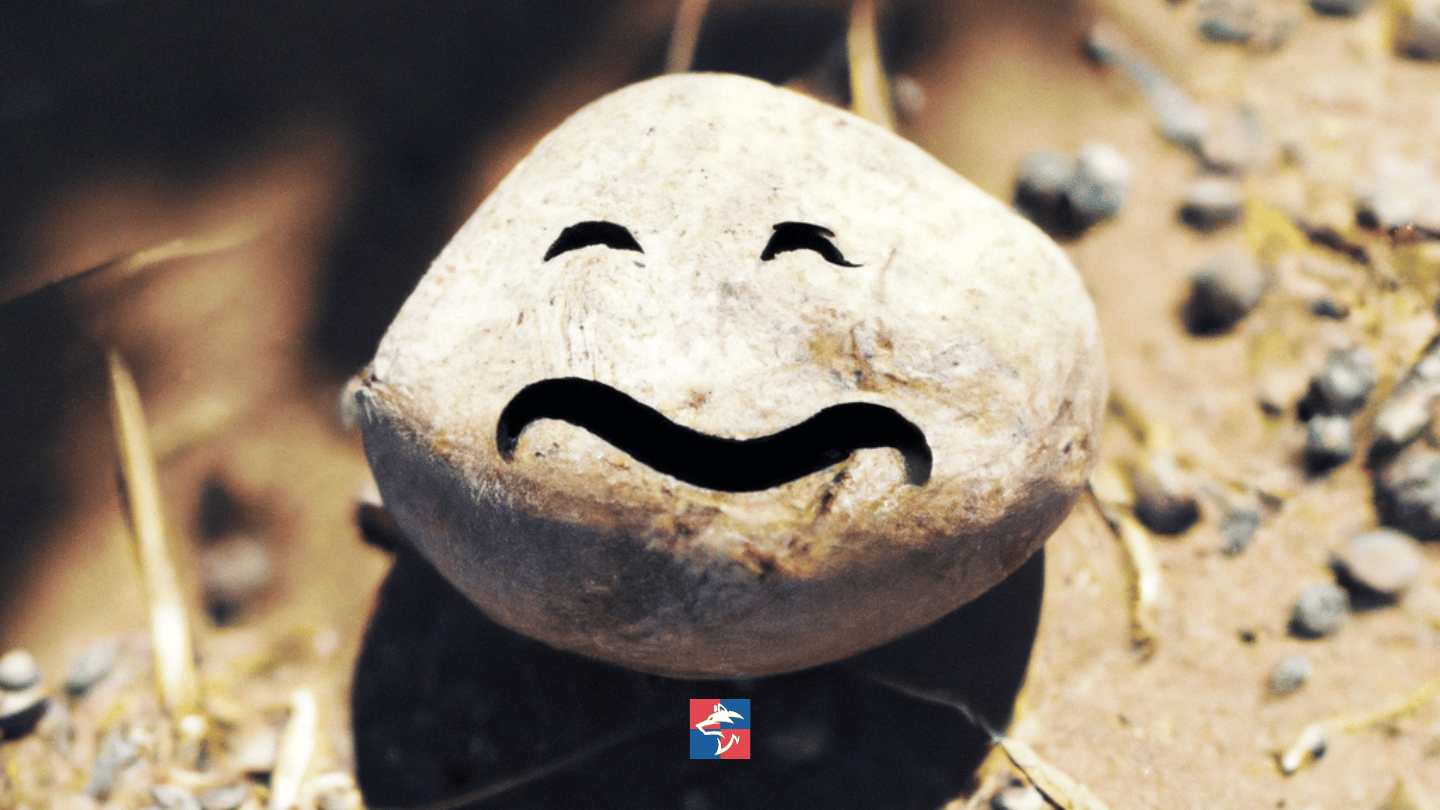 The Kindness Stone